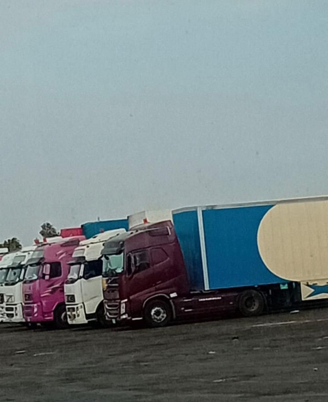 Fleet of trailer trucks lined up